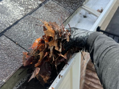 Gutter Cleaning Service